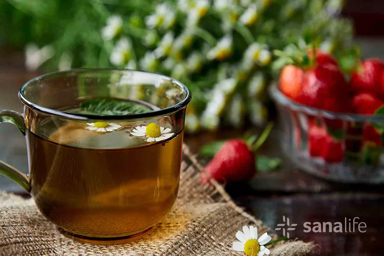 Tisane Medicinali: Le 10 Migliori Infusi per la Salute e il Benessere